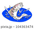 飛び跳ねる山女魚 104363474