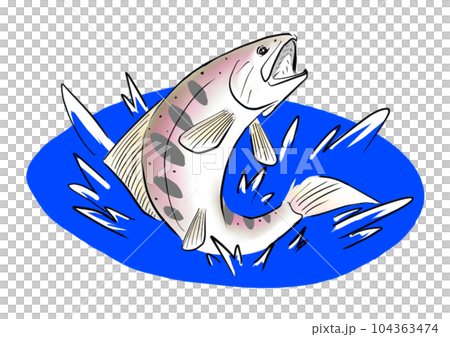 飛び跳ねる山女魚 104363474
