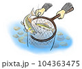 鮎の友釣りで鮎をタモですくうところ 104363475