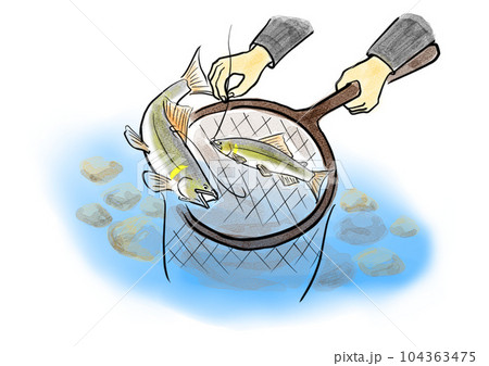 鮎の友釣りで鮎をタモですくうところ 鮎の友釣りで鮎をタモですくうところ 104363475