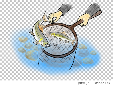 鮎の友釣りで鮎をタモですくうところ 鮎の友釣りで鮎をタモですくうところ 104363475