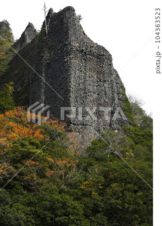 秋の立久恵峡 104363523