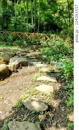 散歩日和 104363557