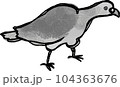 右向きの鳩が餌を食べている　背景透過モノクロ 104363676