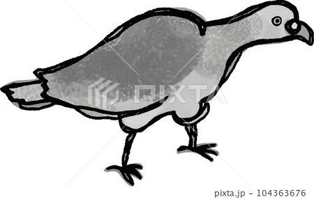 右向きの鳩が餌を食べている　背景透過モノクロ 104363676