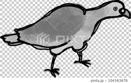 右向きの鳩が餌を食べている　背景透過モノクロ 104363676