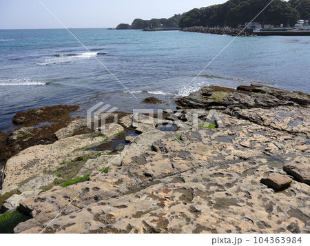 勝浦市散策 104363984