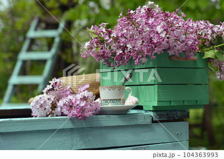 Vintage still life with old cup of tea and lilac flowers bouquet in the garden. Summer and spring season concept. Mother's day of Birthday greeting card 104363993