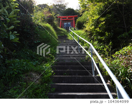 勝浦市散策 104364099