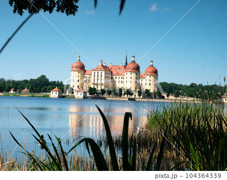 Lake surrounding Moritzburg castle over stalks of reeds and grass 104364339