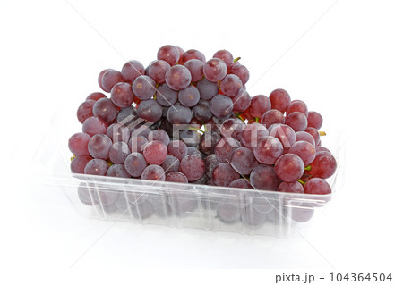 ぶどう（デラウェア） 104364504