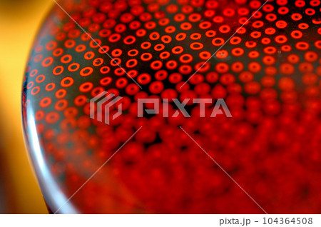 津軽奈々子塗の丸お盆 津軽奈々子塗の丸お盆 104364508