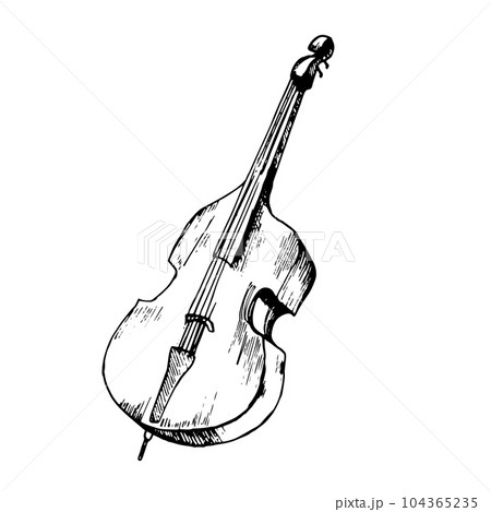 Contrabass classical musical instrument vector illustration isolated. Double bass orchestra stringed instrument ink hand drawn. Black white element for design wrapping, postcard, brochure, invitation 104365235
