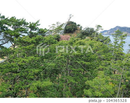 静岡県 早春の黄金崎の風景 2月 静岡県 早春の黄金崎の風景 2月 104365328