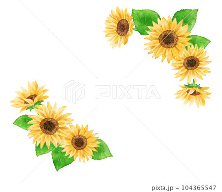 アナログ水彩風のひまわりのフレーム 104365547