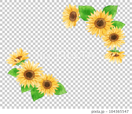 模擬水彩風格向日葵框架 模擬水彩風格向日葵框架 104365547