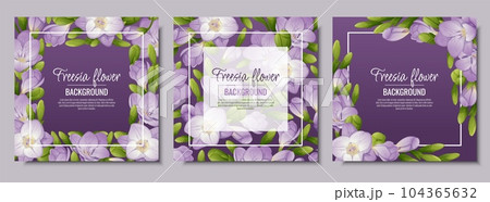 Set of postcards with freesia flowers. Beautiful frame with purple flowers and buds. Spring card, banner, wedding invitation. 104365632