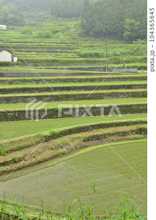 【兵庫県佐用町】乙大木谷棚田 104365645