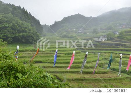 【兵庫県佐用町】乙大木谷棚田 104365654