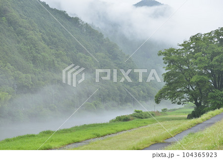 【兵庫県宍粟市】雨に煙る揖保川 104365923