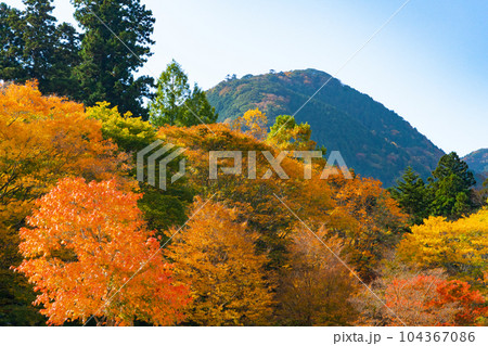 道の駅天城越えから見た紅葉と天城の山2 静岡県伊豆市 道の駅天城越えから見た紅葉と天城の山2 静岡県伊豆市 104367086