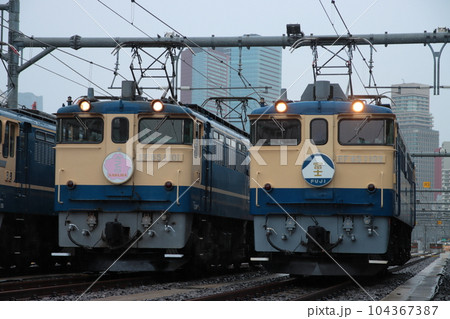 旧東京機関区に並べられたEF65形電気機関車「青い名機、再び。」撮影会にて_2023/4/15撮影 104367387
