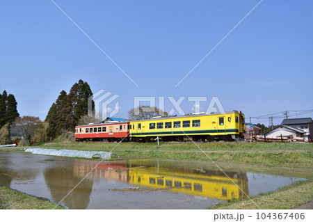 いすみ鉄道・佐室踏切付近の水田の水鏡 いすみ鉄道・佐室踏切付近の水田の水鏡 104367406