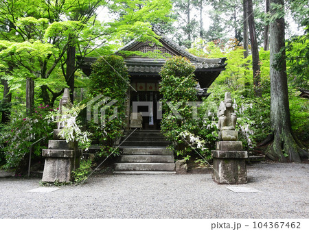 京都府猿丸神社 京都府猿丸神社 104367462