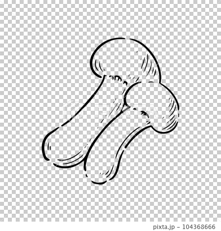 松茸のイラスト素材 [104368666] - PIXTA