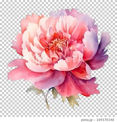 Pink Peony Flowers Watercolor Clipart Ai Generated, Pink, Peony, Flower PNG  Transparent Image and Clipart for Free Download