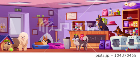 Animal pet toy store interior cartoon background 104370458