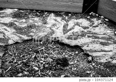 Hole in landscaping weed barrier plastic on the ground. Hole in landscaping weed barrier plastic on the ground. 104371124