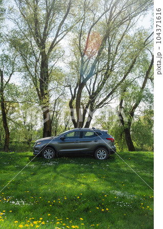 a gray car parked on a green lawn 104371616