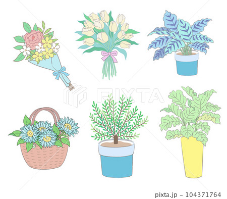 ブルーミング 開花 咲く 104371764