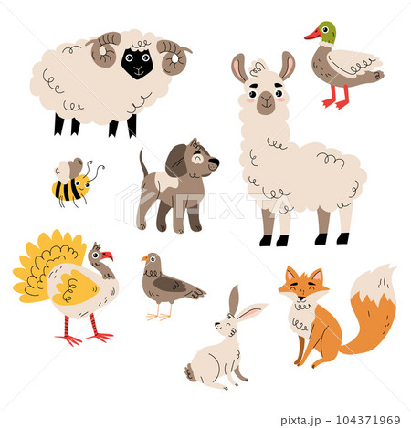 Cute Farm Animals as Livestock Breeding Vector Set Cute Farm Animals as Livestock Breeding Vector Set 104371969