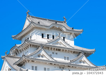 兵庫県姫路市　快晴の国宝姫路城天守 104372043