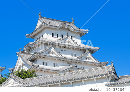 兵庫県姫路市　快晴の国宝姫路城天守 104372044