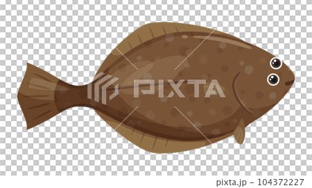 可愛的比目魚的插圖 可愛的比目魚的插圖 104372227