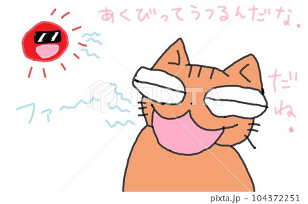 目が大きい猫のあくび 104372251