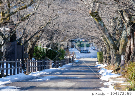 福島県 二本松市 岳温泉 冬 桜坂 福島県 二本松市 岳温泉 冬 桜坂 104372369