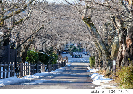 福島県 二本松市 岳温泉 冬 桜坂 福島県 二本松市 岳温泉 冬 桜坂 104372370