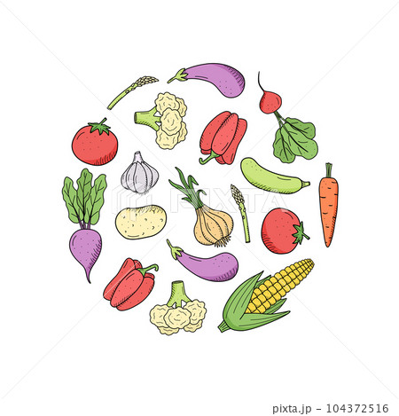 Collection of colored drawing vegetables in doodle style. A set of vector illustrations of the harvest corn potatoes carrots radishes beets garlic onions tomatoes, etc. 104372516