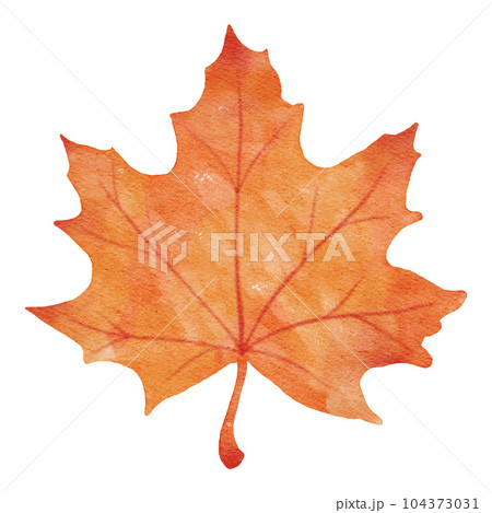cute autumn illustration watercolor hand drawn 104373031