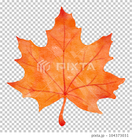 cute autumn illustration watercolor hand drawn 104373031