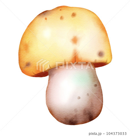 cute autumn illustration watercolor hand drawn 104373033