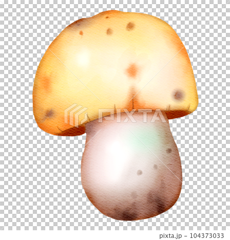 cute autumn illustration watercolor hand drawn 104373033
