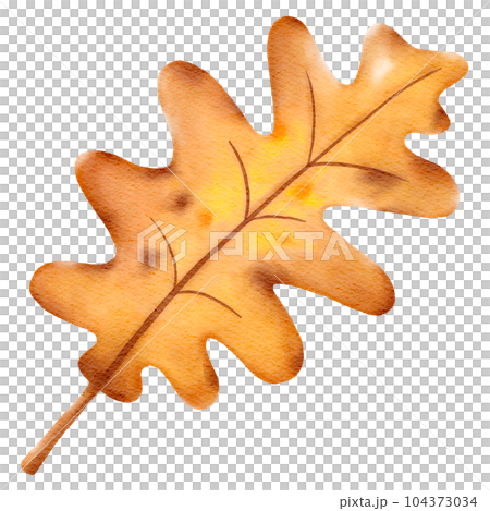 cute autumn illustration watercolor hand drawn 104373034