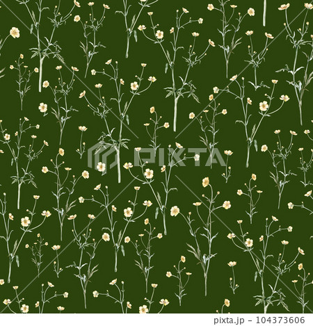 seamless pattern of yellow flower meadow buttercup known as Ranunculus acris, sitfast, spearworts or water crowfoots. Watercolor hand drawn painting illustration isolated on white background seamless pattern of yellow flower meadow buttercup known as Ranunculus acris, sitfast, spearworts or water crowfoots. Watercolor hand drawn painting illustration isolated on white background 104373606