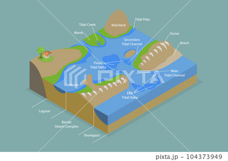 3D Isometric Flat Vector Conceptual Illustration of Barrier Island System 104373949