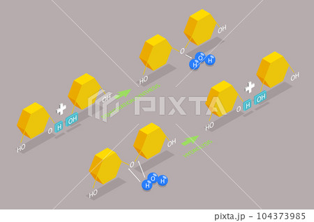 3D Isometric Flat Vector Conceptual Illustration of Dehydration Synthesis 104373985